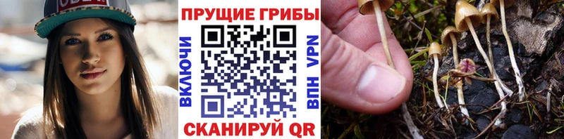 Галлюциногенные грибы мицелий  Карталы 
